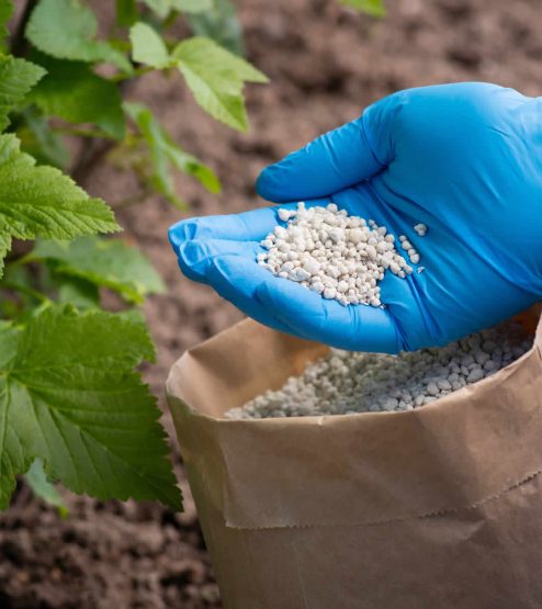 fertilizantes