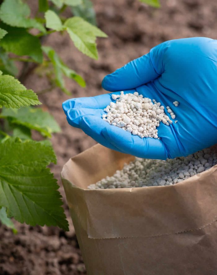 fertilizantes